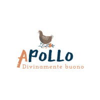 APollo logo